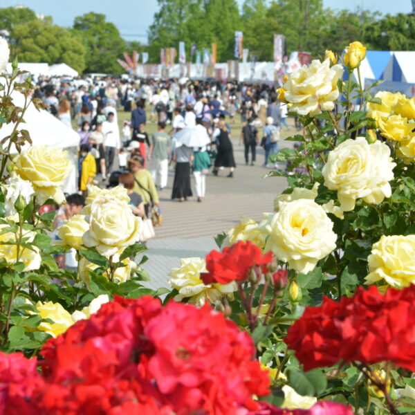 test4